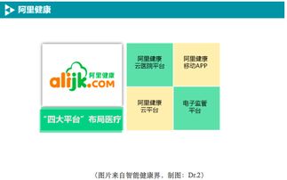 BAT如何布局移動(dòng)醫(yī)療數(shù)據(jù)處理服務(wù) 戰(zhàn)略、技術(shù)與未來(lái)展望